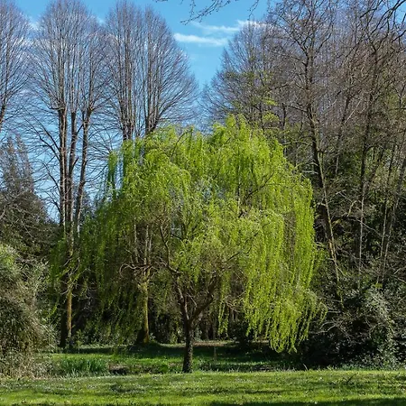 New! La Stanza In Gasthuis Lucca